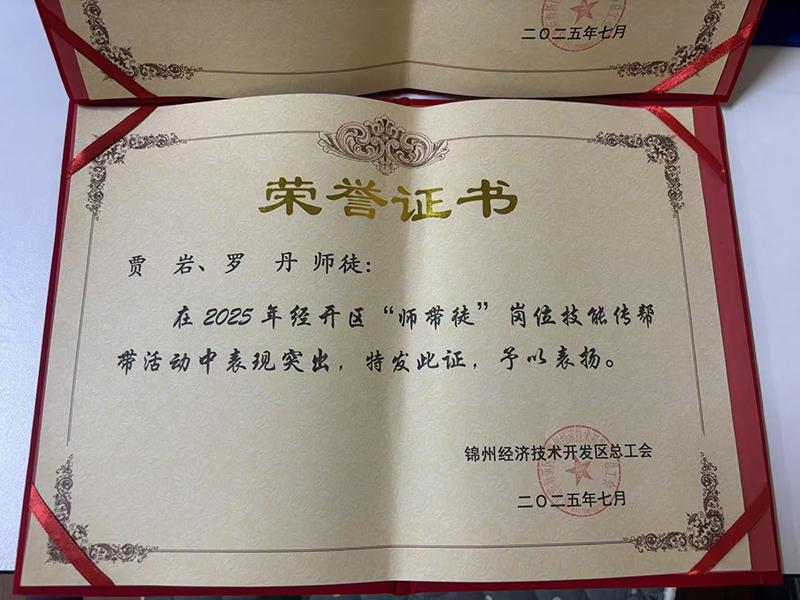 賈巖、羅丹師徒榮獲經(jīng)開區(qū)“師帶徒”崗位技能傳幫帶活動表彰
